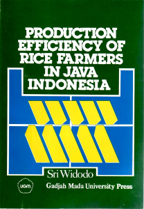 Production Efficiency of Rice Farmers in Java